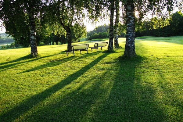 Brzozowy Gaj. letni park z ławkami