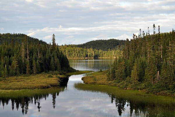 Um longo lago florestal em um dia claro