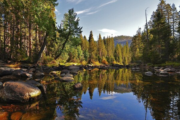 Hermosa naturaleza paisaje acuático