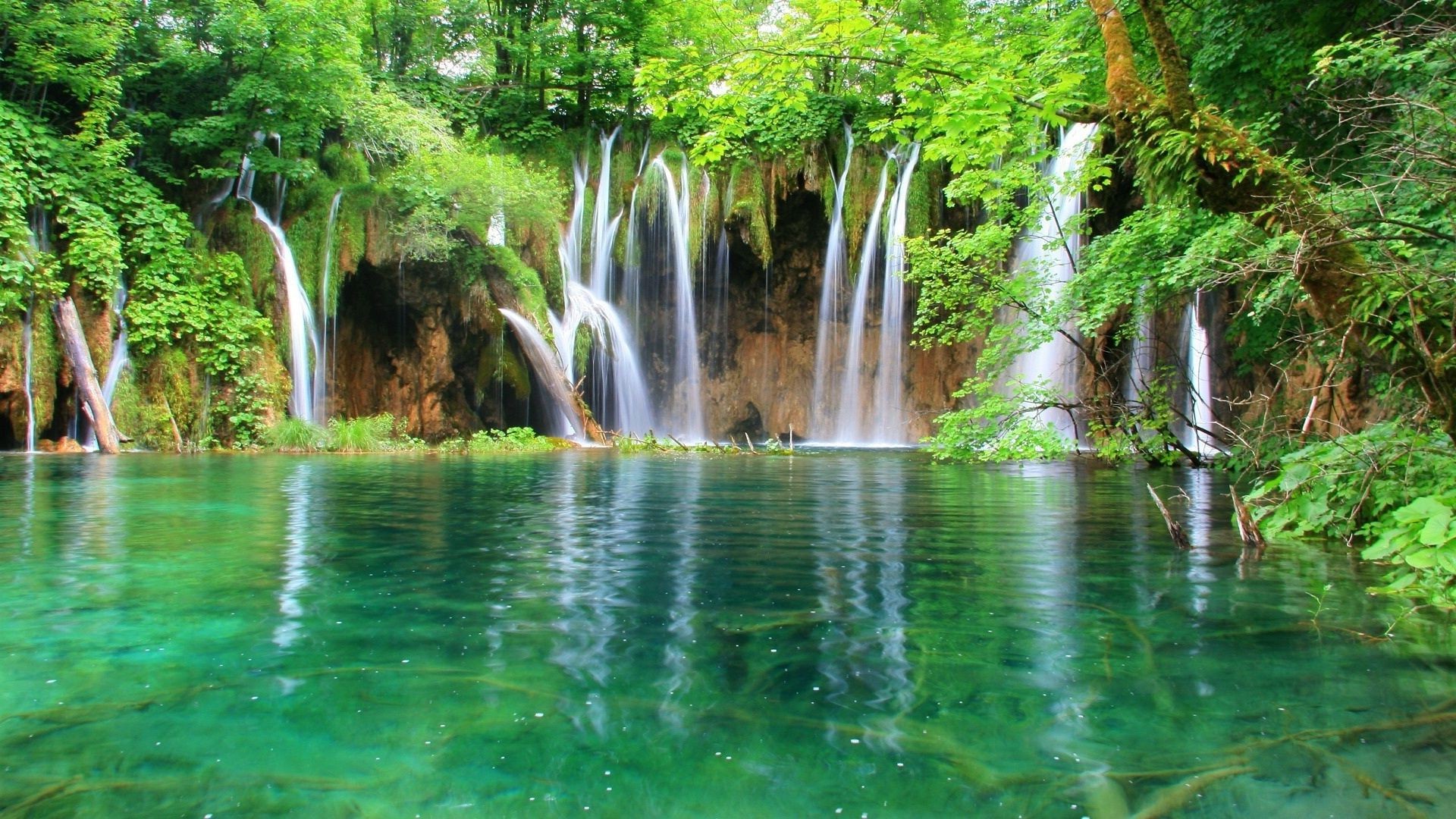 cascate acqua natura cascata foglia di legno fiume estate tropicale all aperto parco di viaggio bagnato flusso albero autunno cascata flusso lussureggiante paesaggio