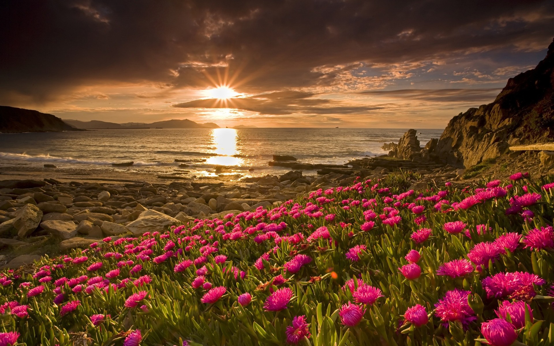 landschaft natur sonnenuntergang wasser landschaft blume dämmerung meer strand reisen himmel im freien sonne meer sommer ozean dämmerung abend steine hintergrund