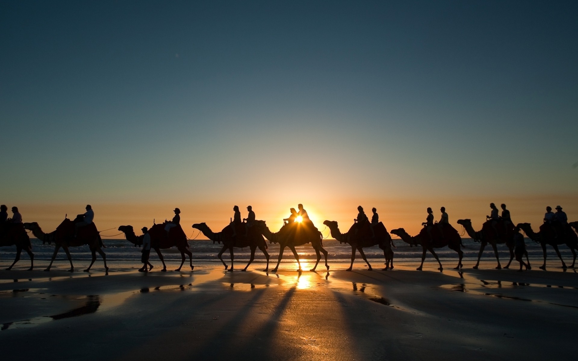 animali tramonto silhouette alba viaggi crepuscolo sera illuminato sole cielo all aperto gruppo acqua deserto foto