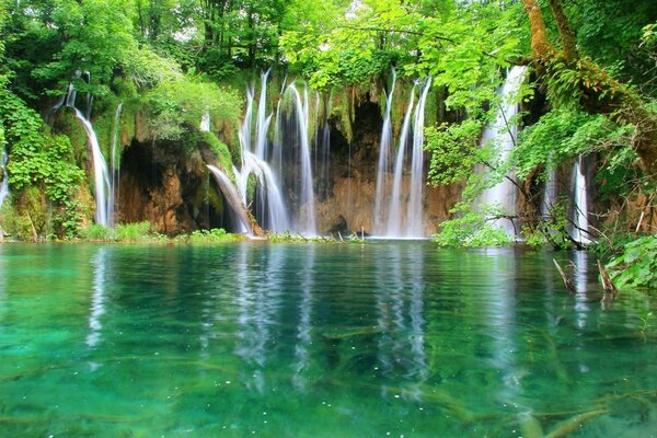 Cachoeiras com árvores verdes, água azul