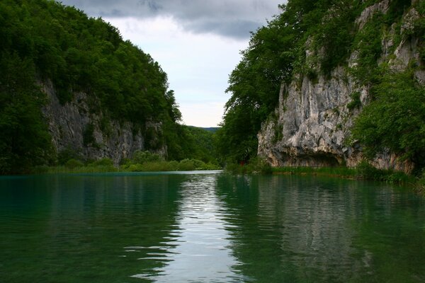 Roches envahies dans le lit de la rivière