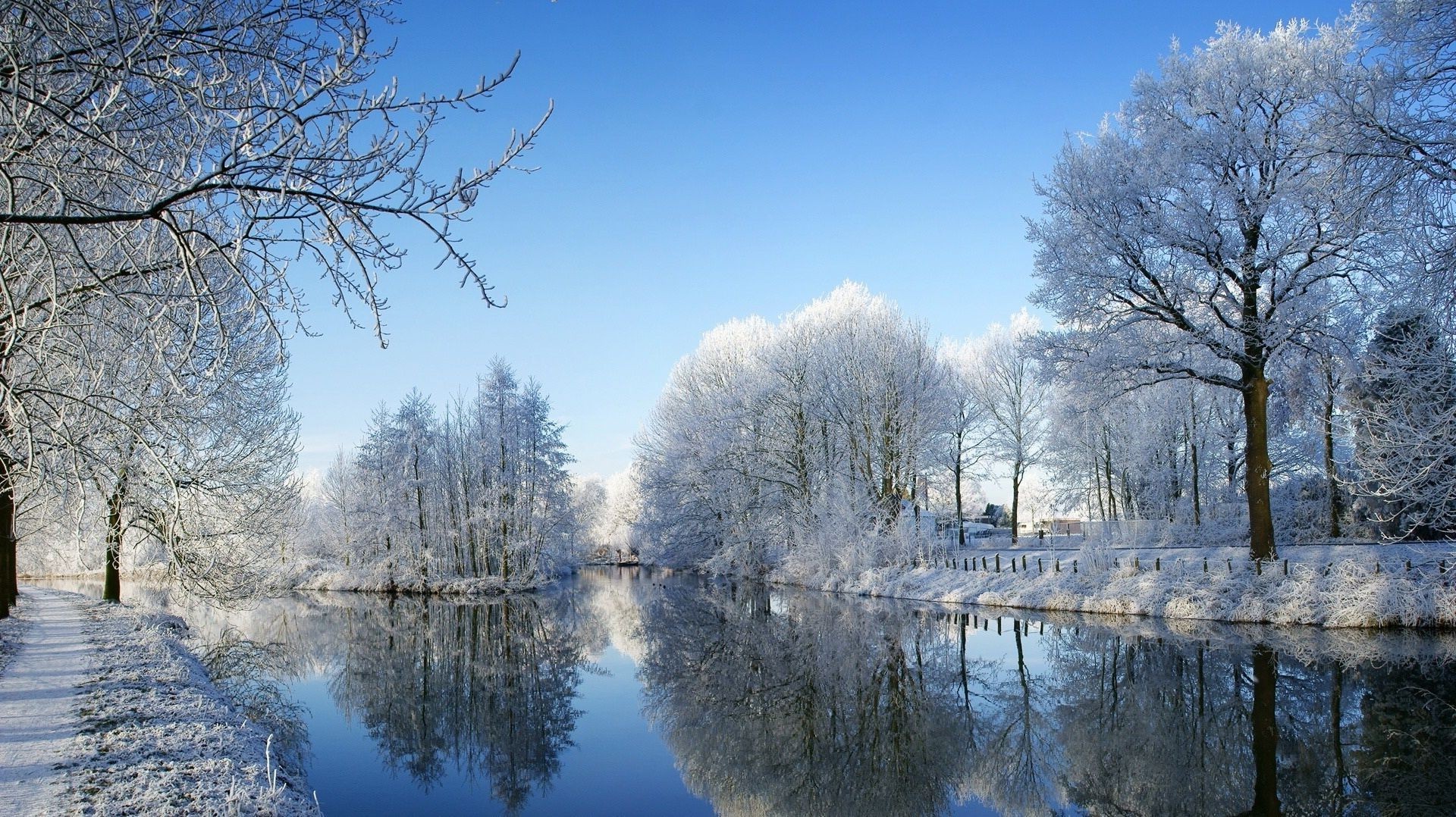 rivers ponds and streams winter snow cold tree frost season landscape wood frozen nature weather branch ice park scenic scene bright