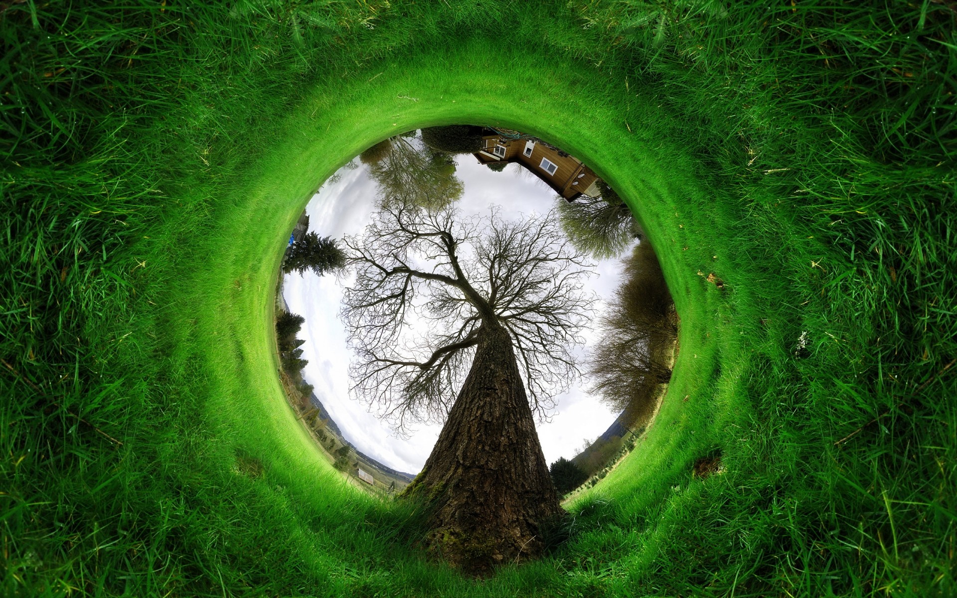 paesaggio erba natura ambiente paesaggio ecologia a forma di palla prato foglia estate all aperto parco spettacolo luce campo flora legno fantasia alberi verde