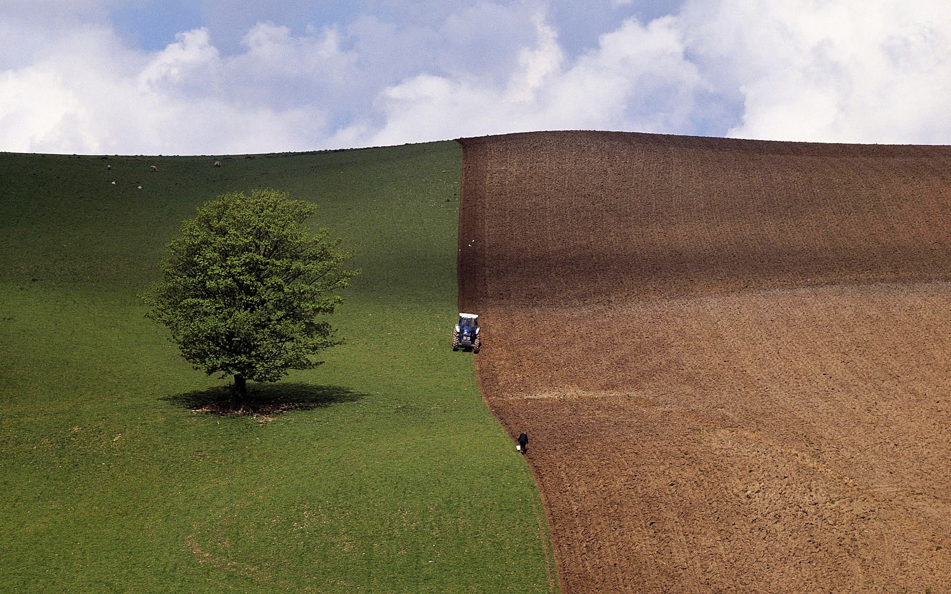 spring landscape agriculture sky field outdoors grass tree cropland farm nature countryside