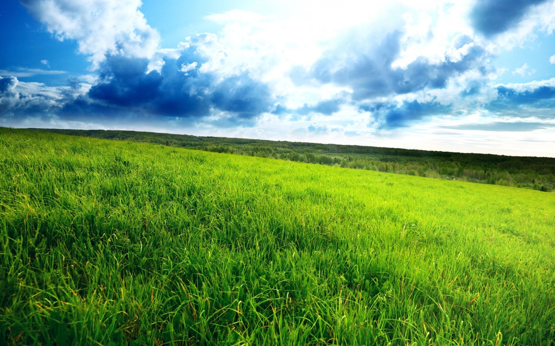 landscapes field grass hayfield landscape nature summer rural horizon flora soil sky cloud agriculture growth season scene farm country environment spring view