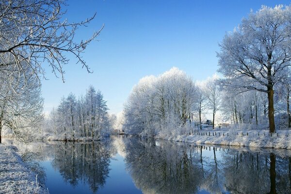 Lago invernale con alberi innevati