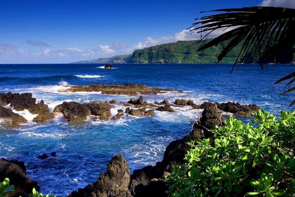 Seascape with beach and reefs