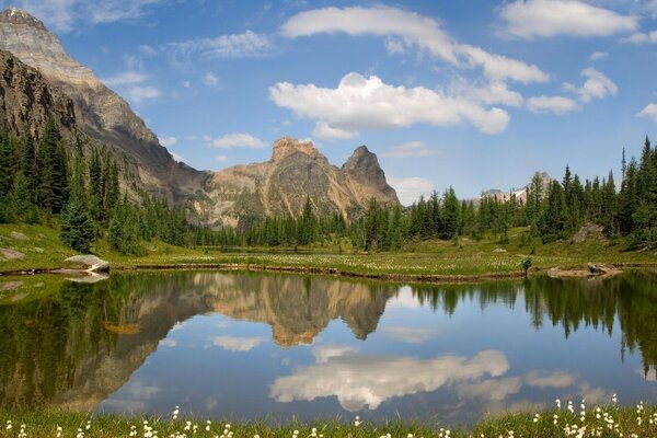 Lac d été avec montagnes et forêt en arrière-plan