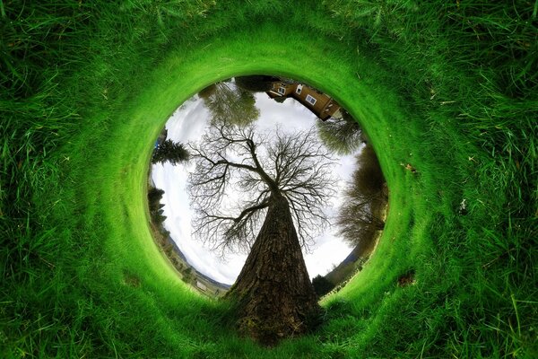 Paisagem da primavera. grama verde