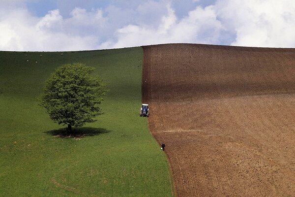 Campo de primavera se fusiona con el cielo en el horizonte