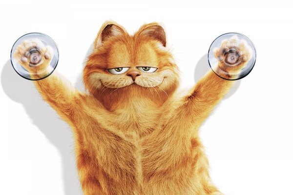 Garfield the cat on suckers weighs by the paws