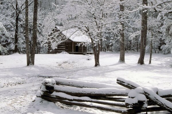 A house on the snowy edge of the forest