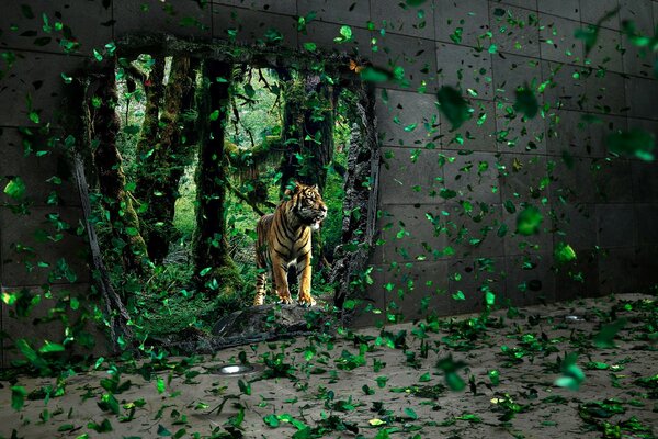 Tigre depredador caminando por el bosque