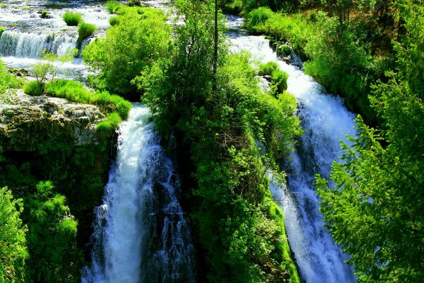 Paesaggio. Cascata. Alberi verdi. Luogo protetto