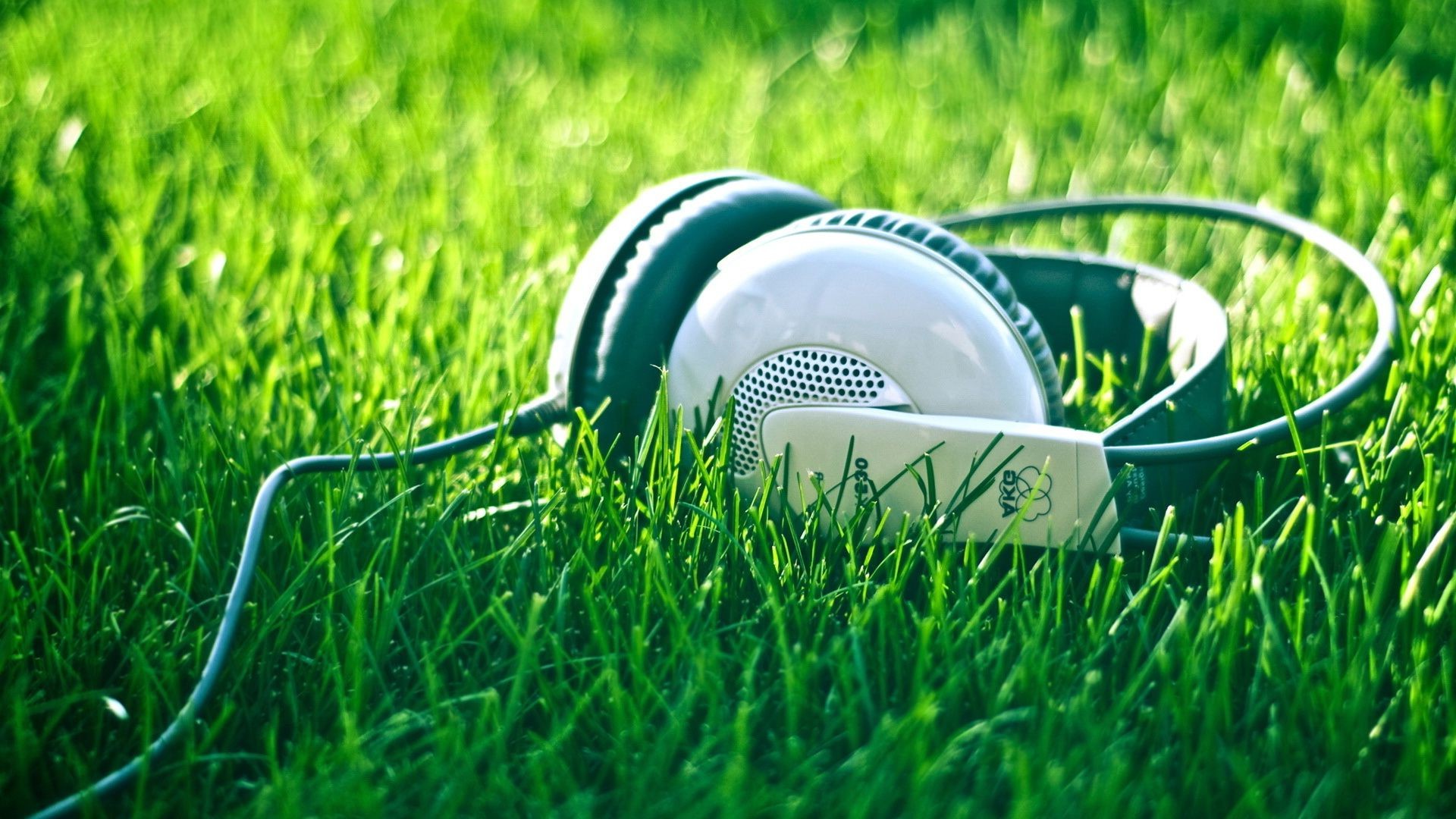 música grama gramado golfe campo feno verão natureza lazer terra relvado ao ar livre bola jardim quintal