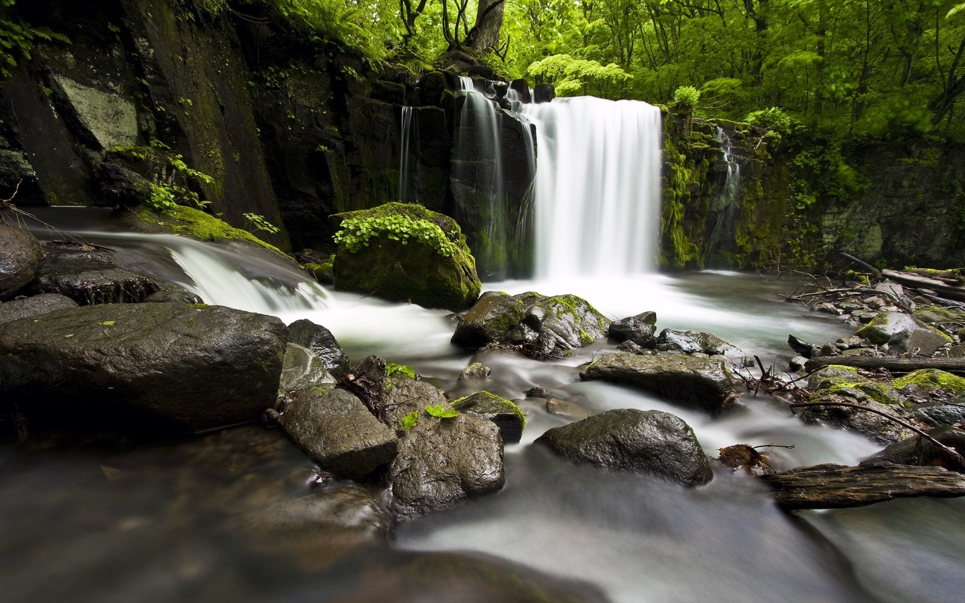 japan wasserfall wasser strom fluss strom schrei kaskade rock natur herbst moos spritzen holz blatt landschaft bewegung reisen im freien nass