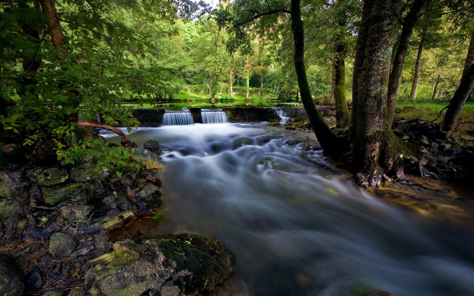 francia acqua fiume legno cascata natura flusso autunno paesaggio creek foglia albero muschio all aperto cascata parco roccia viaggi fotografia bagnato