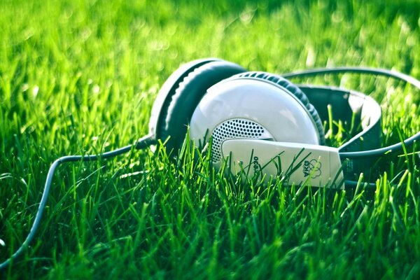 Música en auriculares en el césped verde