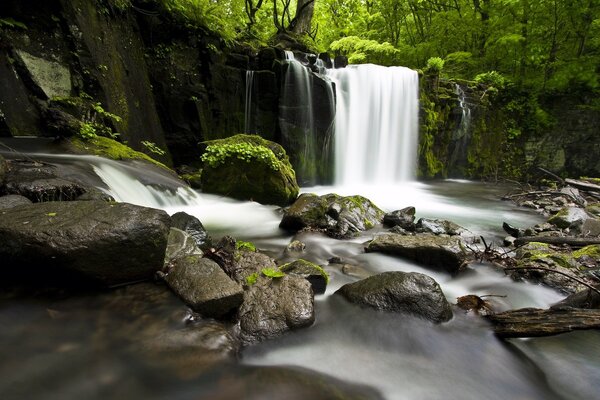 Gebirgsfluss mit Wasserfall im japanischen Wald