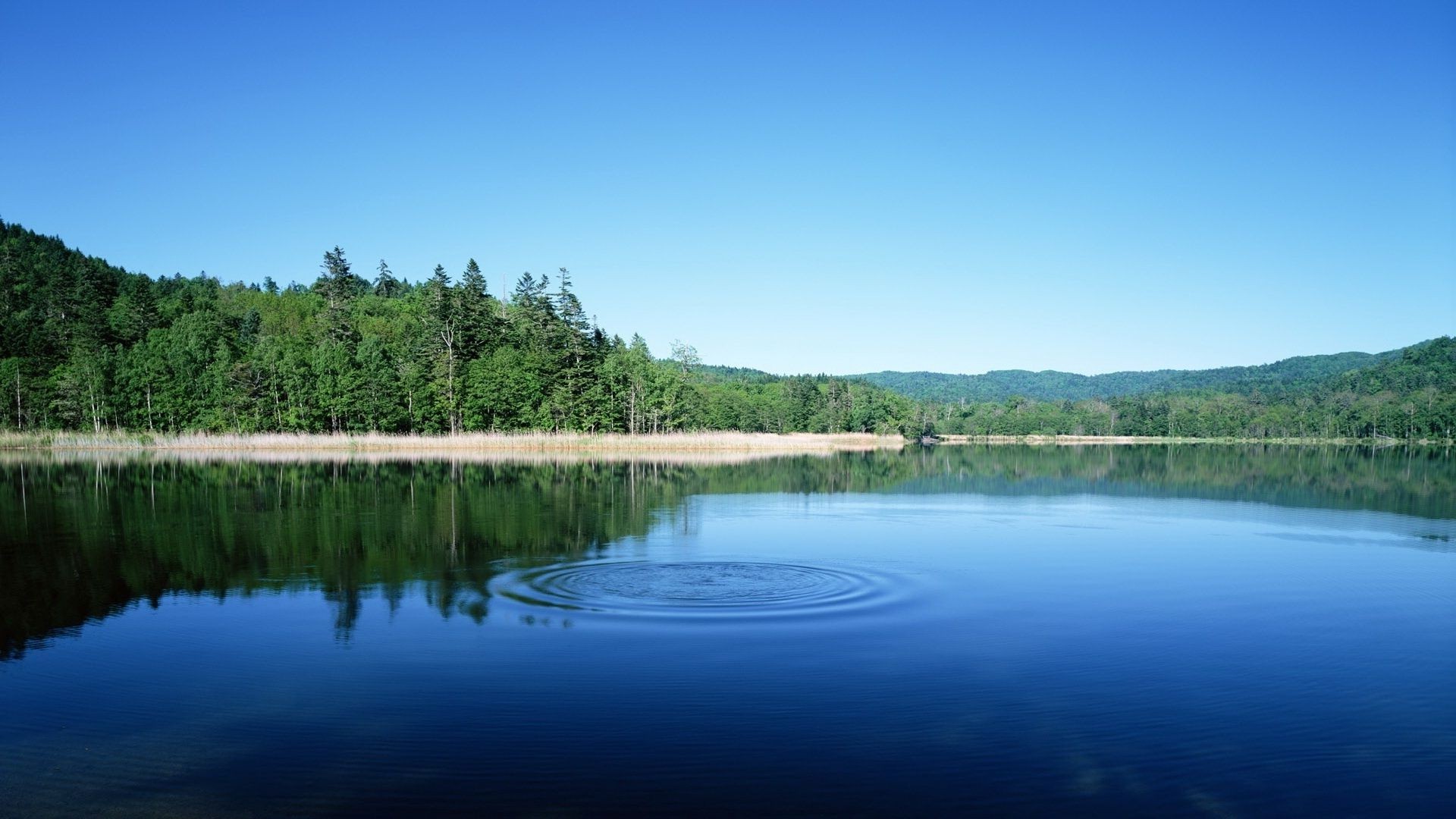 jezioro woda odbicie natura rzeka na zewnątrz niebo drewno drzewo krajobraz podróże malownicze lato