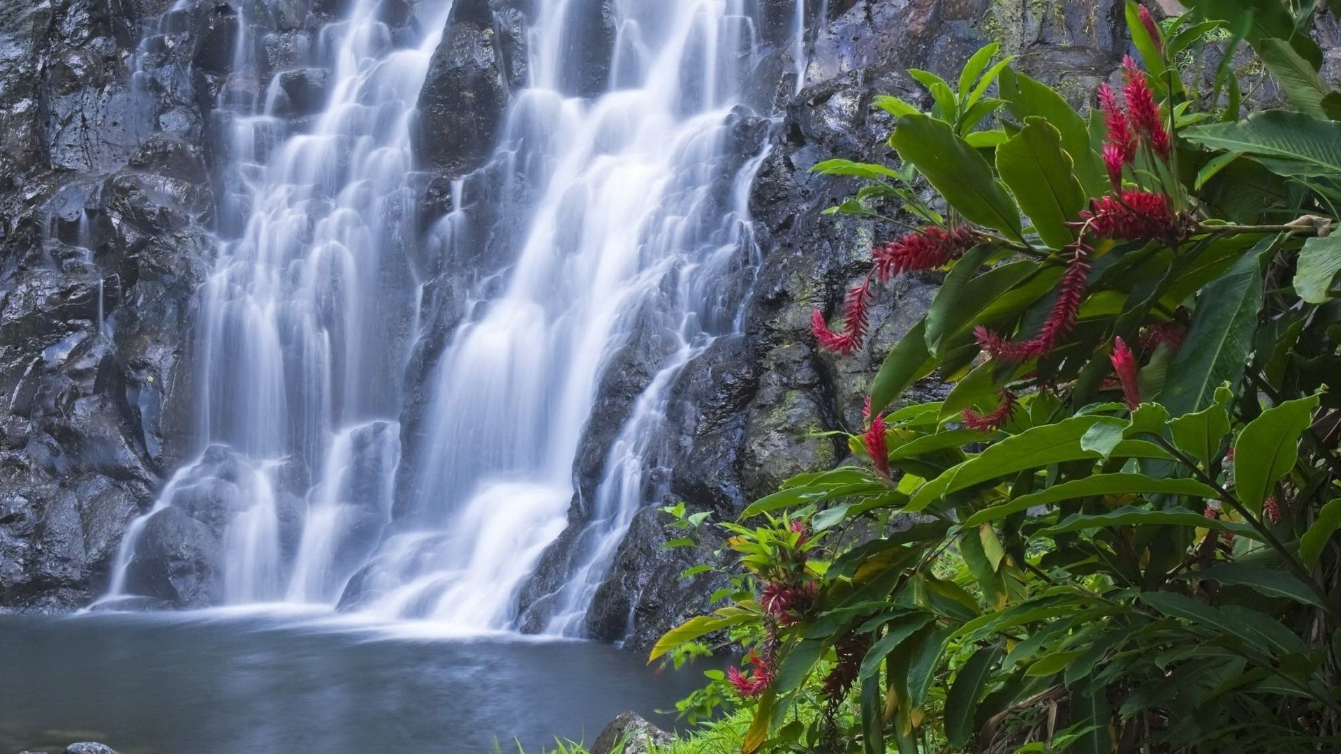 waterfalls waterfall nature water leaf wood river stream outdoors fall tropical tree cascade landscape summer flow wild rock travel park