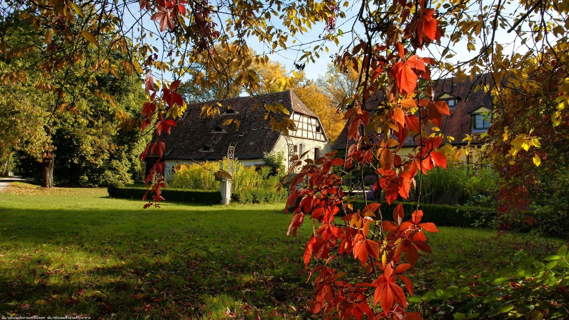 houses and cottages tree leaf fall season park garden outdoors nature branch color flower flora maple bright landscape