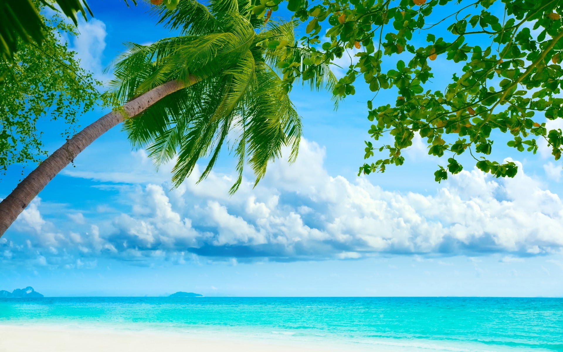 sommer tropisch sonne natur wasser idylle strand himmel baum gutes wetter sand paradies türkis reisen landschaft insel landschaft ozean exotisch hintergrund palmen meer blau