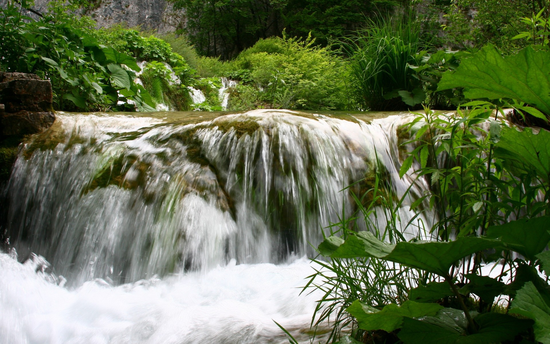 landschaft wasser natur wasserfall holz blatt fluss fluss landschaft im freien fluss wild sommer umwelt kaskade dschungel tropisch baum nass reisen grün bäume