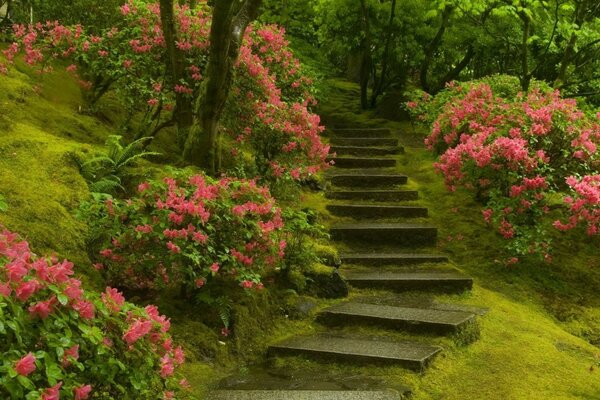 Beau couple fleuri avec escalier