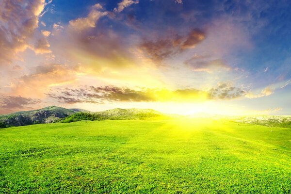 Landschaft der grünen Wiese bei sonnigem Wetter