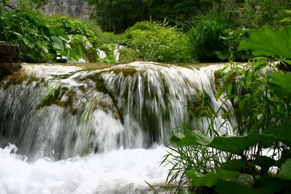 Wasserkreislauf Wasser Luft