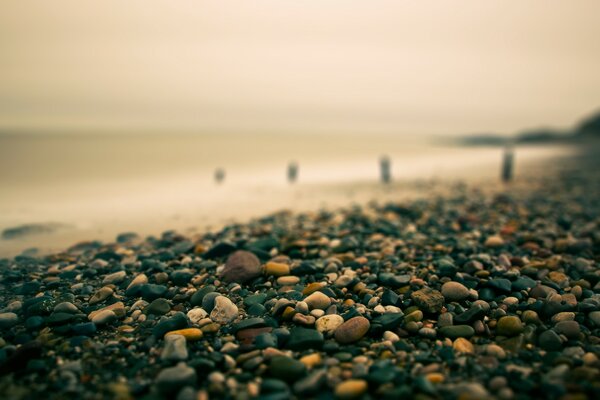 Seashore against a bright sky