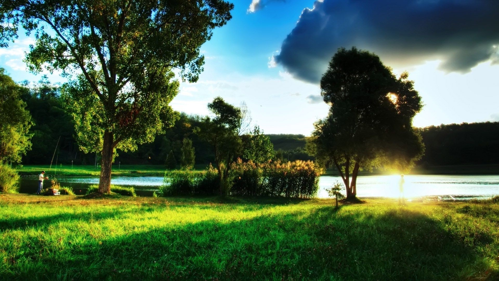 paysage arbre herbe paysage nature parc soleil à l extérieur beau temps foin été rural aube pelouse campagne champ environnement bois scénique ciel