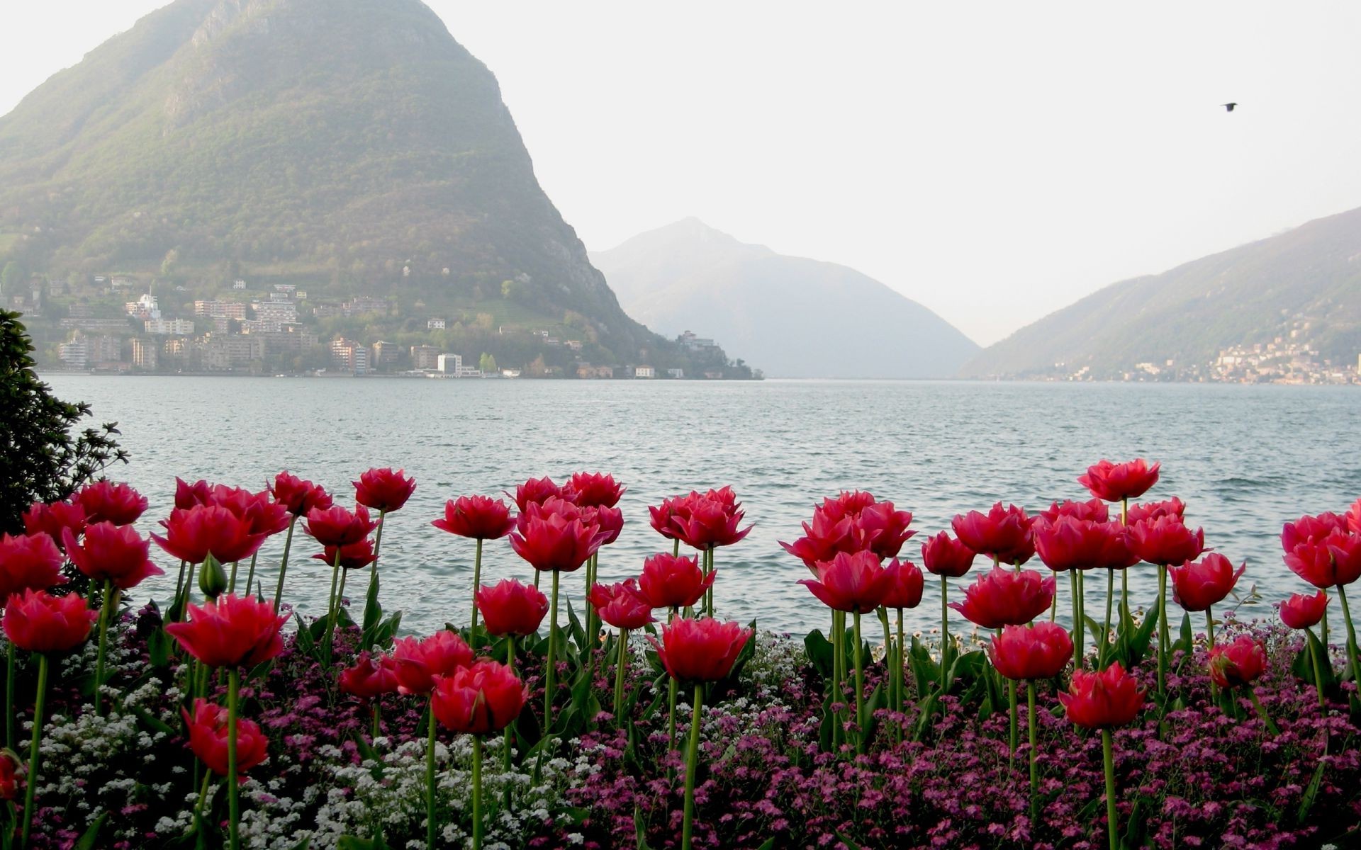 felder wiesen und täler natur wasser blume landschaft sommer im freien meer meer reisen flora