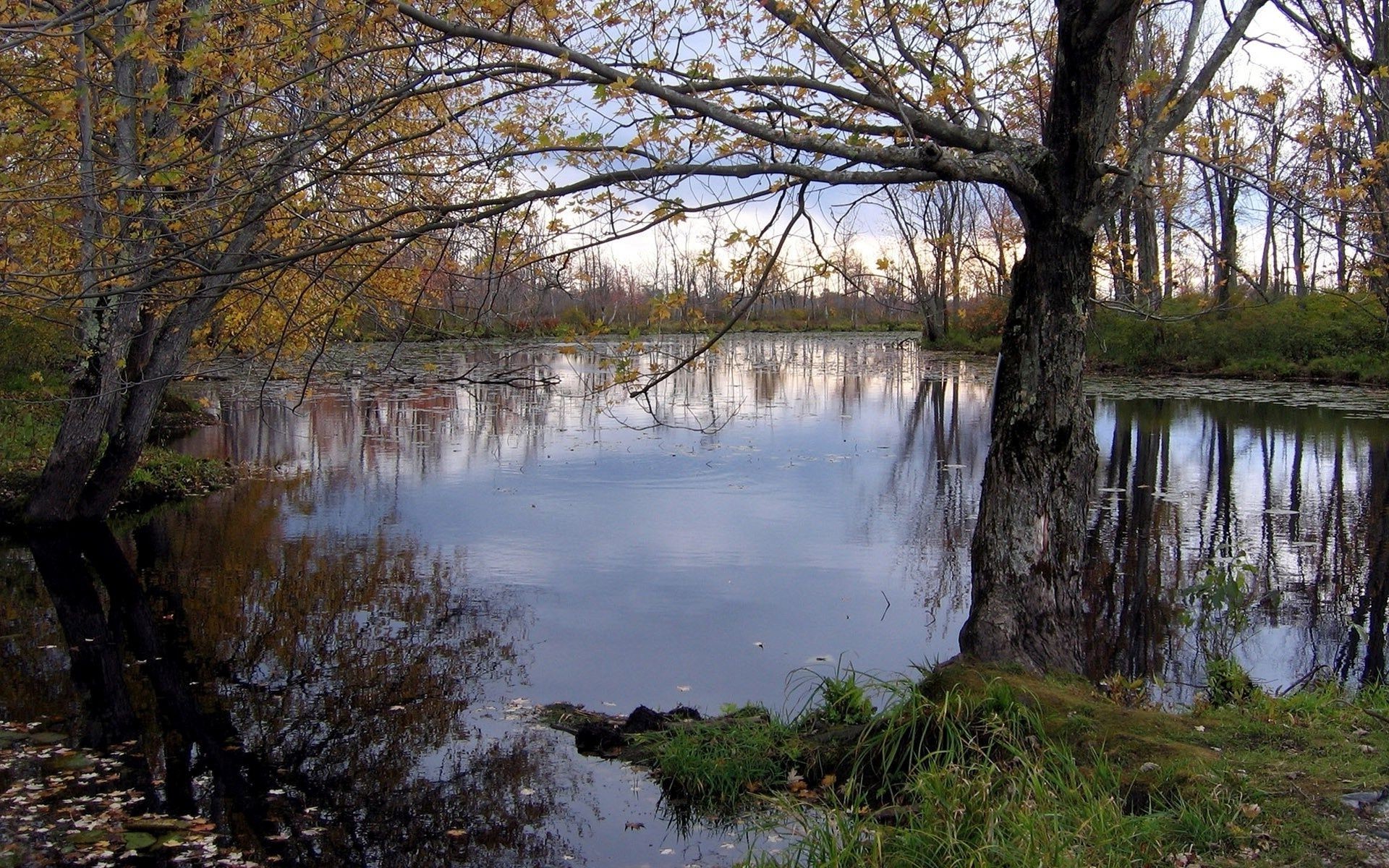 озера води осінь дерево пейзаж відображення природа деревини річка лист на відкритому повітрі парк басейн мальовничий світанок флуд сезон