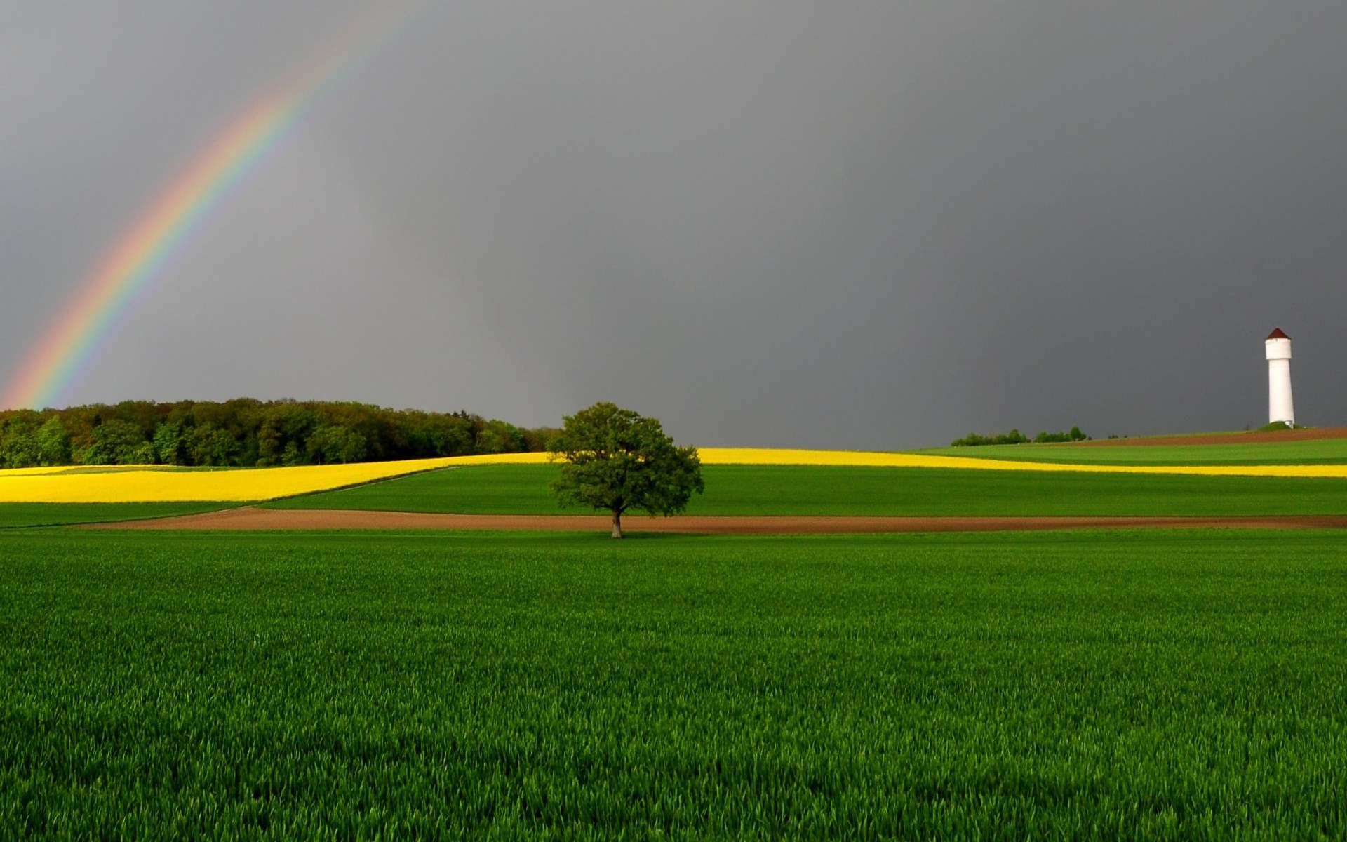 landscapes rainbow agriculture field farm landscape grass sky rural cropland countryside hayfield outdoors rain storm nature wheat summer scenery
