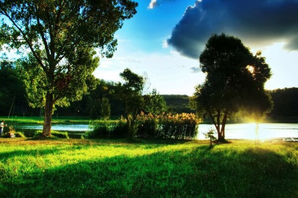 Bellissimo paesaggio estivo con ricche tavolozze di colori