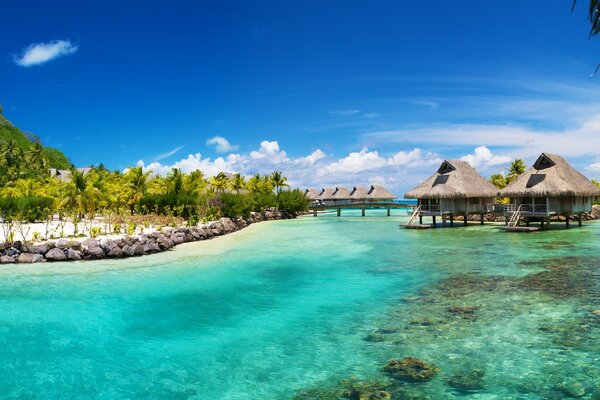 Viaje por el agua a una playa tropical de verano