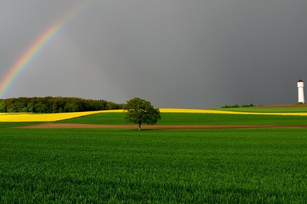 Arco iris brillante en polepirs verde