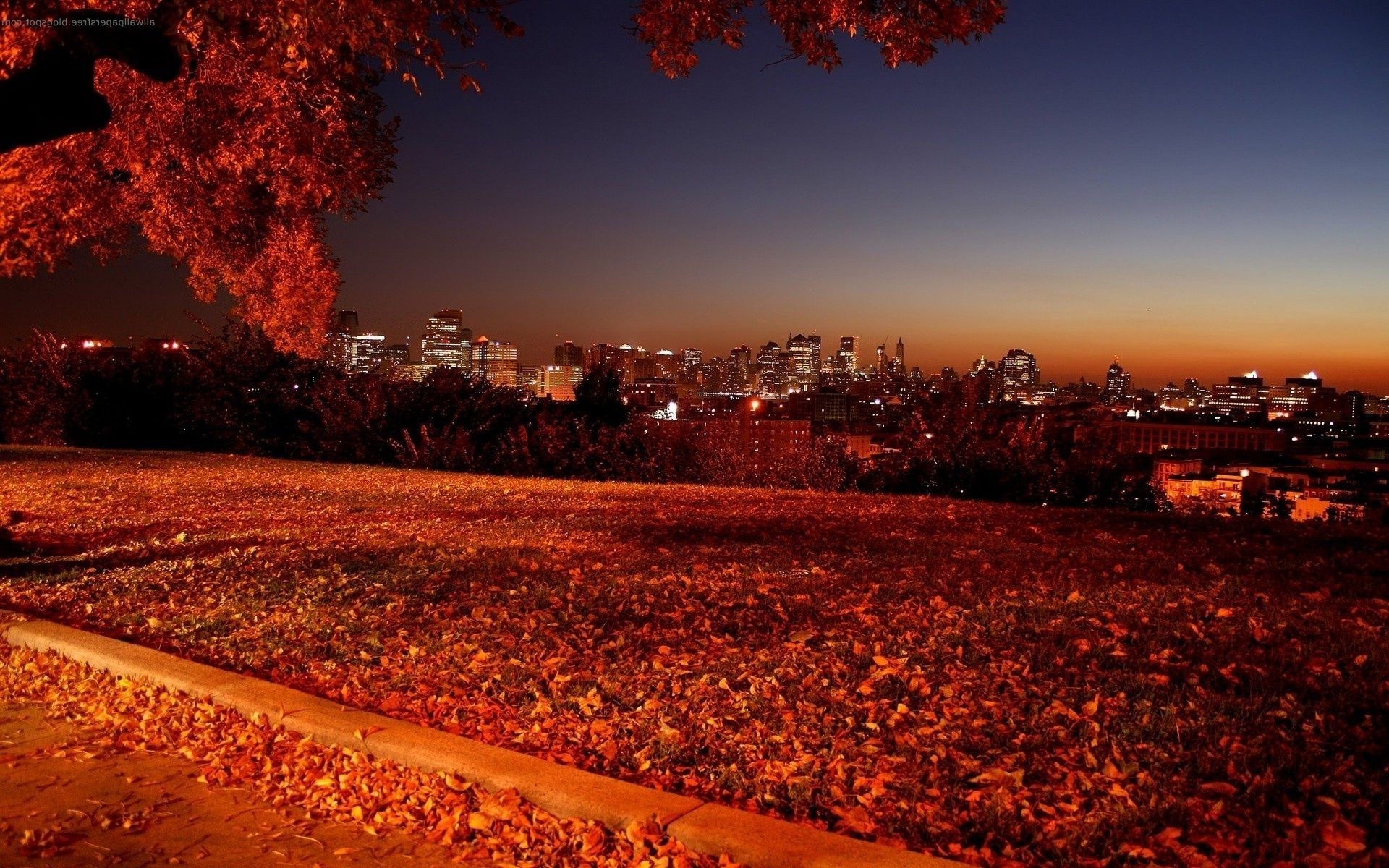 the sunset and sunrise fall sunset evening dawn outdoors tree