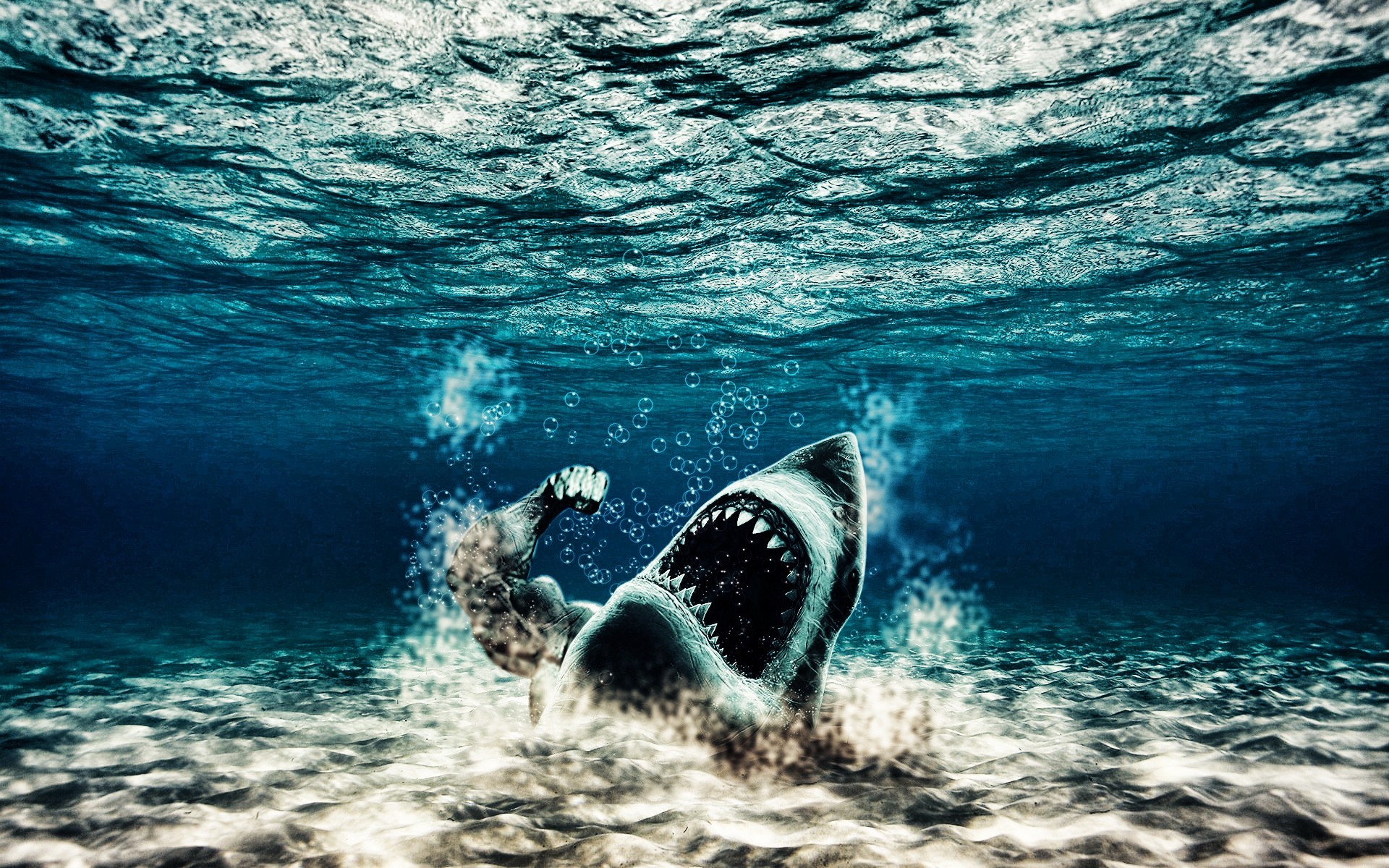 fotobearbeitung wasser ozean meer unterwasser reisen natur meer schwimmen landschaft muskeln hintergrund