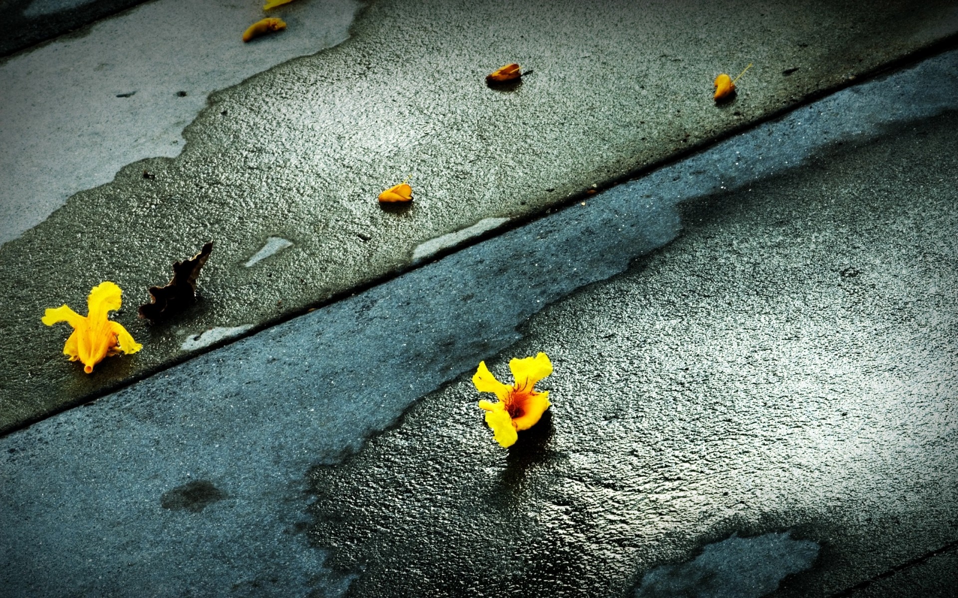 flores escritorio textura piedra abstracto oscuro hormigón viejo pared naturaleza carretera foto fondo