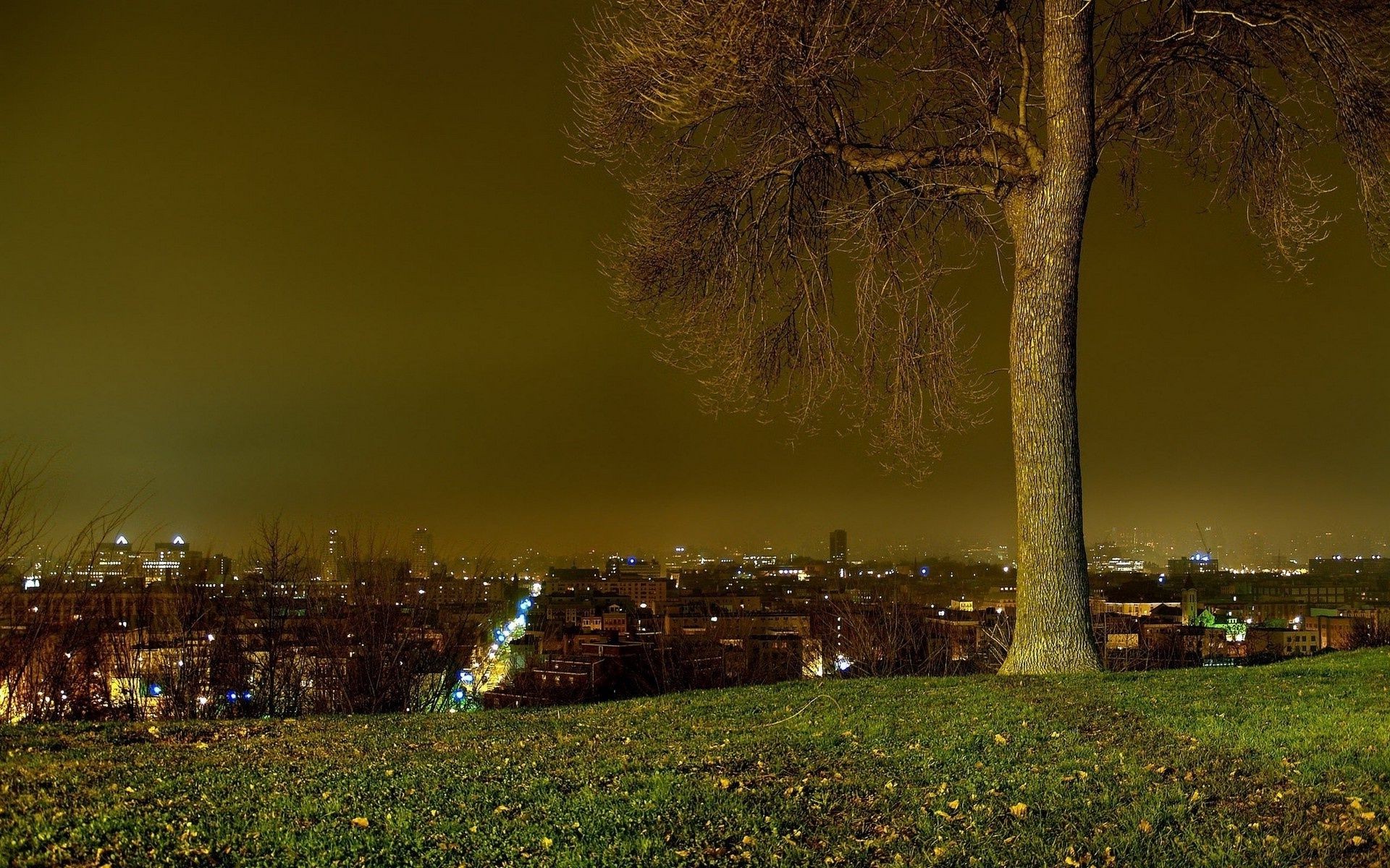 notte sera crepuscolo sera crepuscolo albero tramonto alba sera paesaggio all aperto luce viaggi nebbia autunno città sole acqua crepuscolo natura