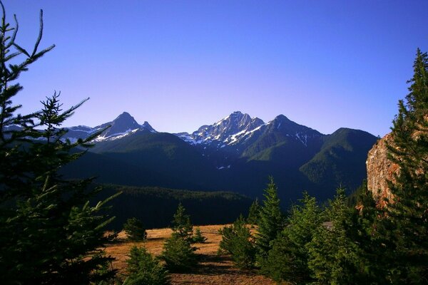 Mountain landscape and rare forest