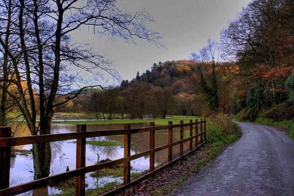 Straße am See im Herbst. Gefallene Blätter