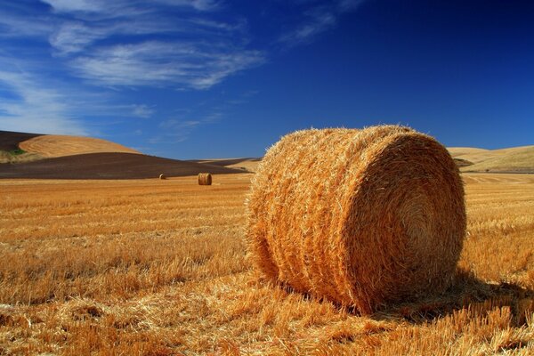 A haystack in a field on a sunny day