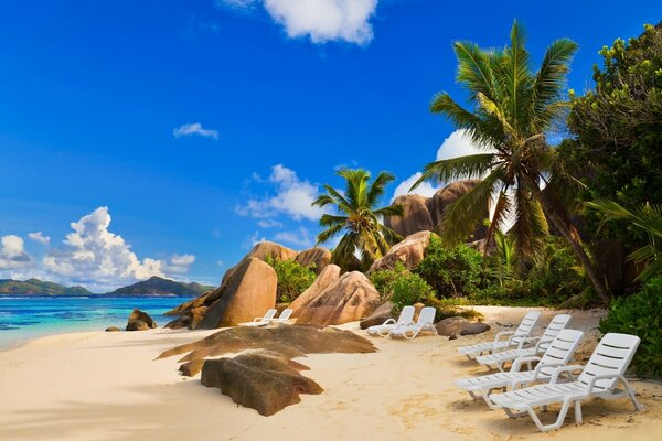 Menschen auf den Liegen. Der Strand ist tropisch. Das Meer